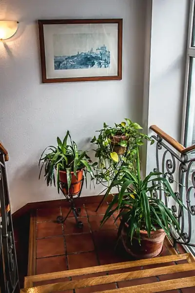 Habitaciones · 47